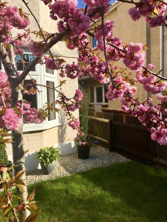 Cherry Tree House Bed & Breakfast Bournemouth Exterior photo